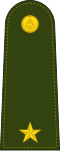 Sub Lieutenant