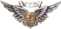 Combat Aircrew badge