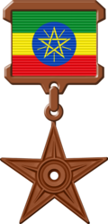 {{subst:The Ethiopia Barnstar of National Merit|message ~~~~}} Ethiopia