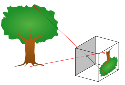Principle of a pinhole camera. Light rays from an object pass through a small hole to form an image.