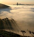 Image 14San Francisco Bay shrouded in fog, as seen from the Marin Headlands looking east. The fog of San Francisco is a kind of sea fog, created when warm, moist air blows from the central Pacific Ocean across the cold water of the California Current, which flows just off the coast. The water is cold enough to lower the temperature of the air to the dew point, causing fog generation. In this photo, the towers of the Golden Gate Bridge can be seen poking through the fog, and the Bay Bridge is visible in the distance.