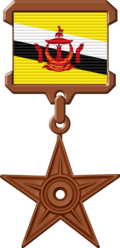 {{subst:The Brunei Barnstar of National Merit|message ~~~~}} Brunei