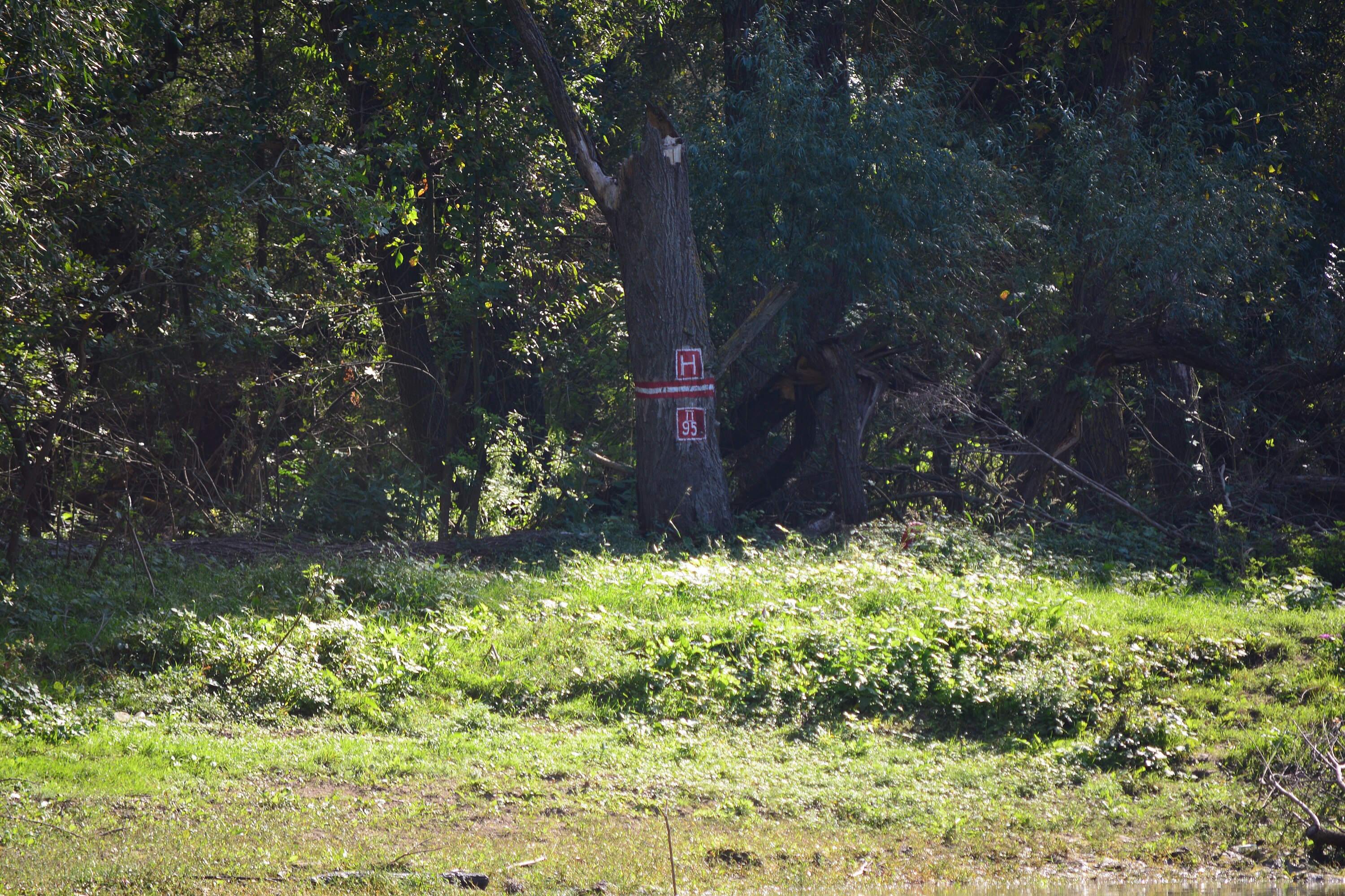 Canalul Mila 35 - 66 - route marker.jpg