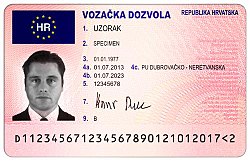 European driving licence, (Croatian version pictured)
