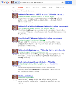 Screenshot of Google Image Search results page