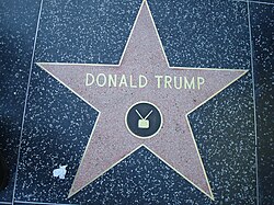 A red star with a bronze outline and "Donald Trump" and a TV icon written on it in bronze, embedded in a black terrazzo sidewalk