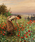Girl picking Poppies by Daniel Ridgway Knight