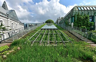 Botanical garden on the roof of University Library