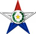 {{subst:The Paraguay Barnstar|message ~~~~}} Paraguay
