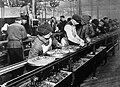 Image 16Ford assembly line, 1913. The magneto assembly line was the first. (from History of technology)