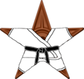 The Martial Arts Barnstar