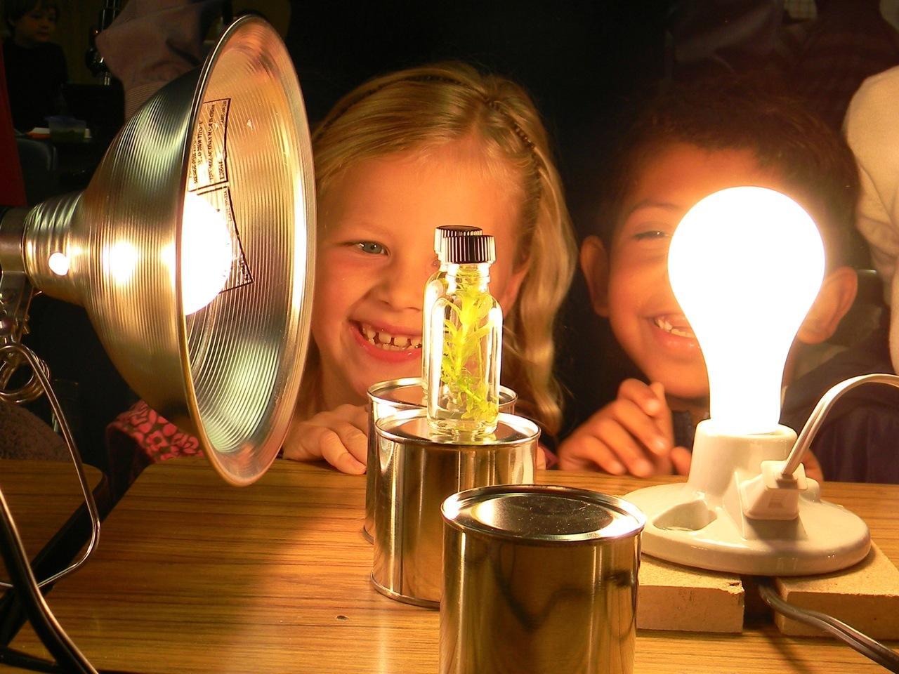 Young students looking at various light bulbs