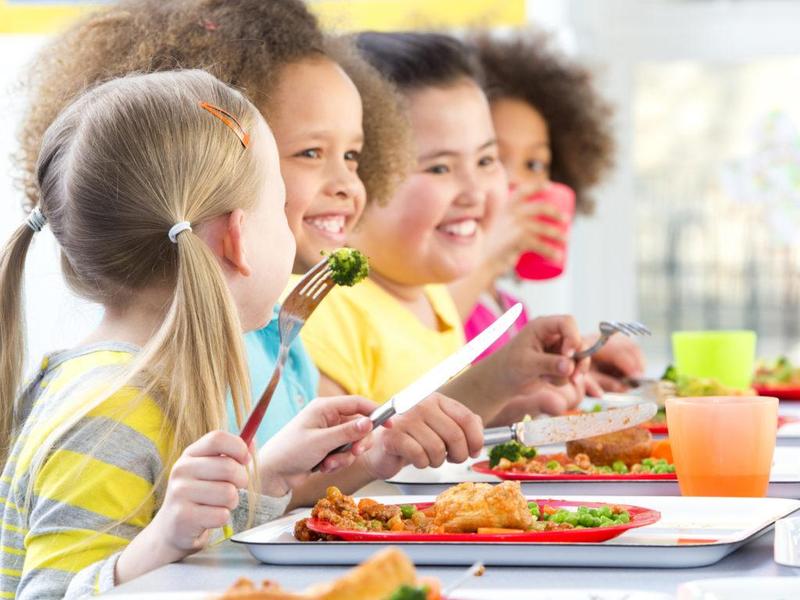 Schoolchildren Eating Lunch