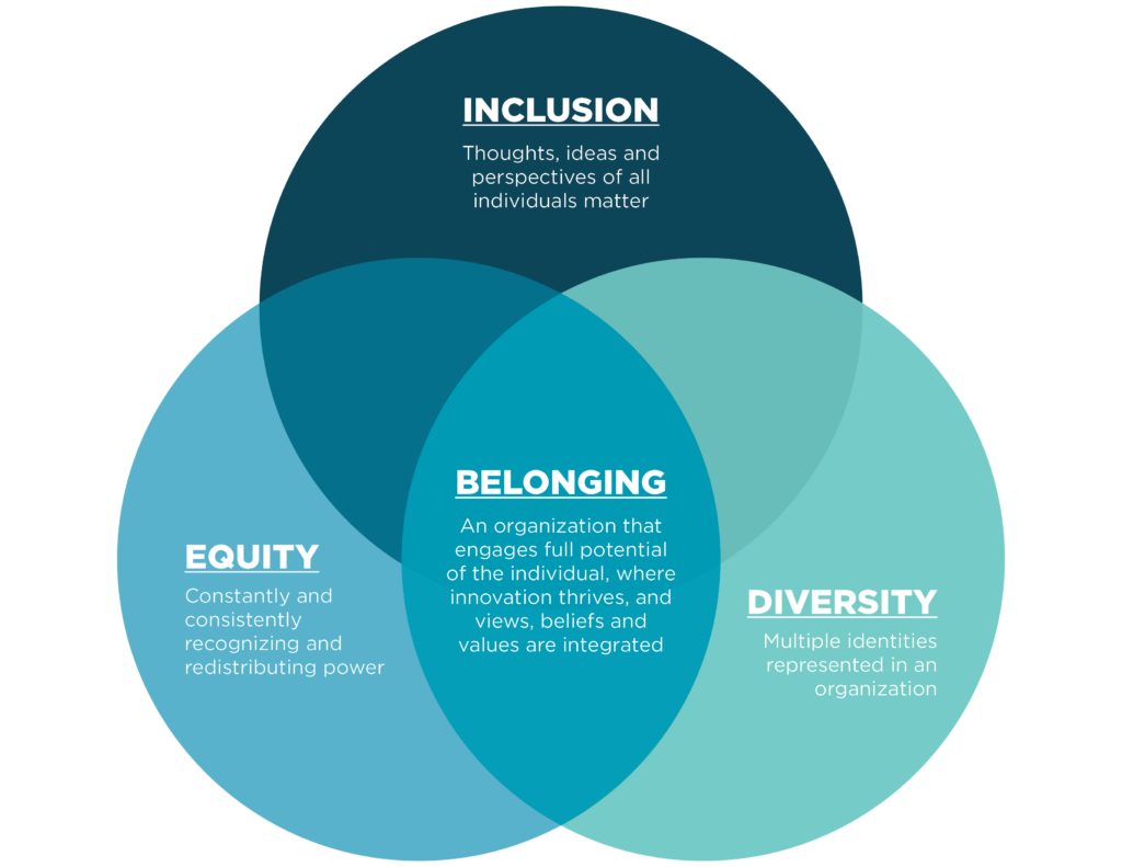 DEI venn diagram