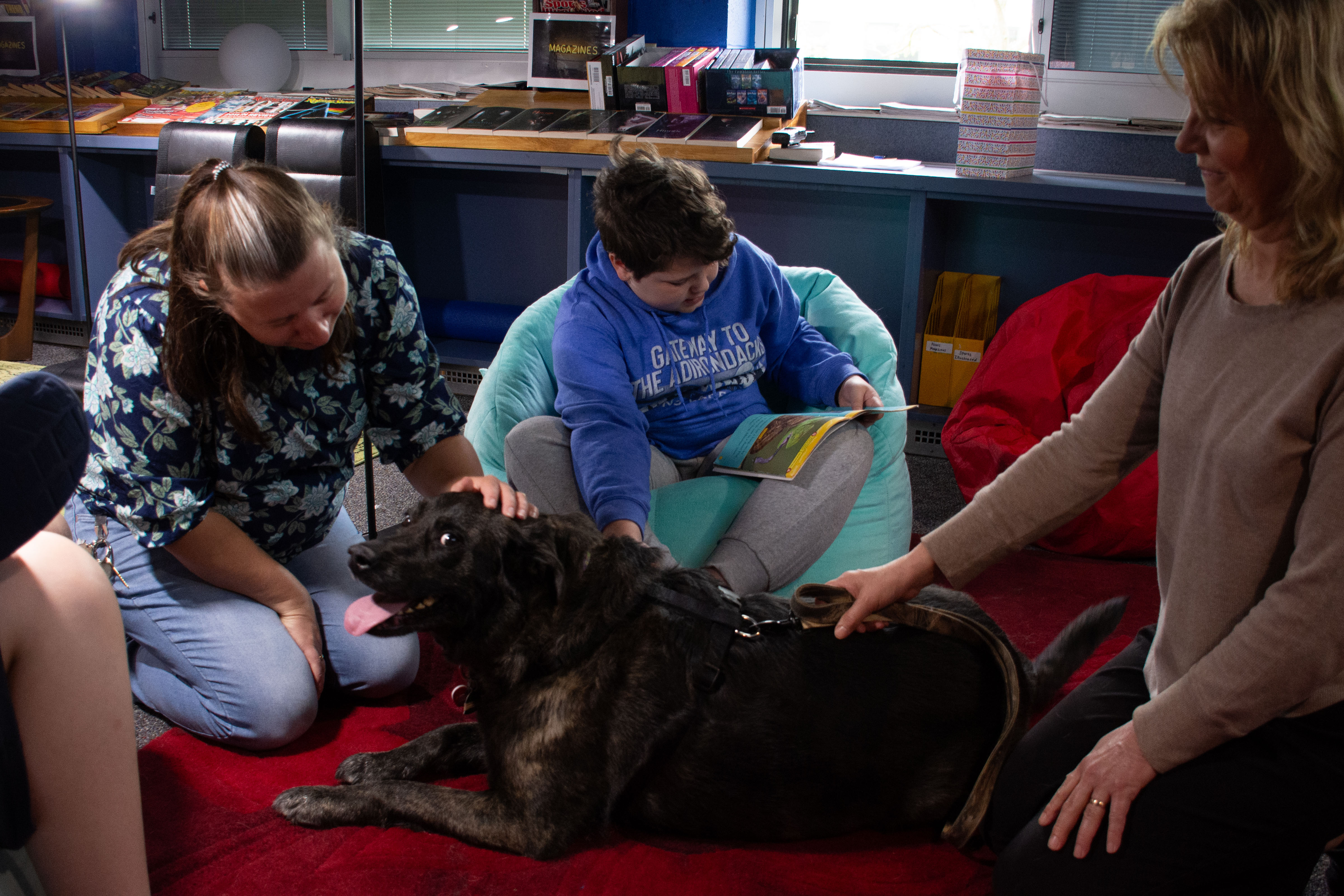 therapy dog