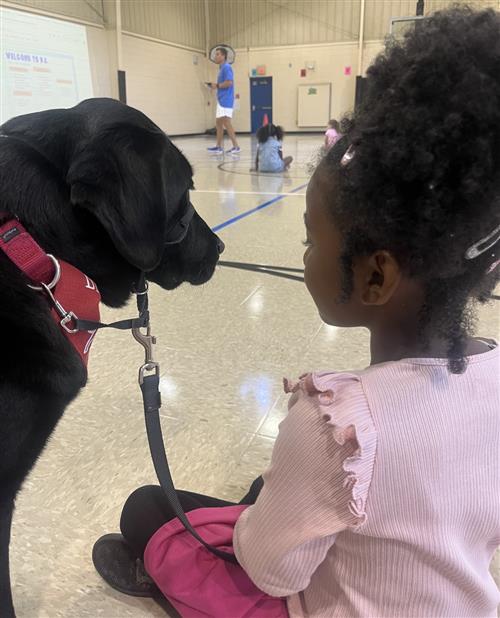 student with facility dog at Madison Elementary