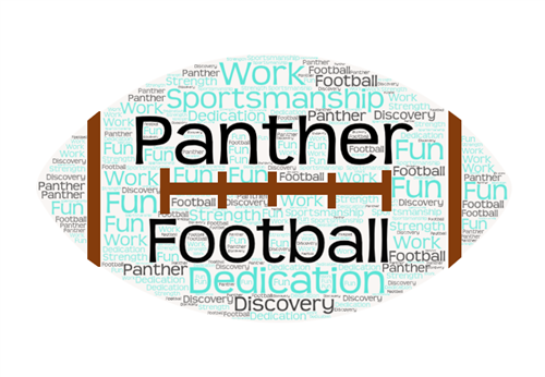 Panther Football 