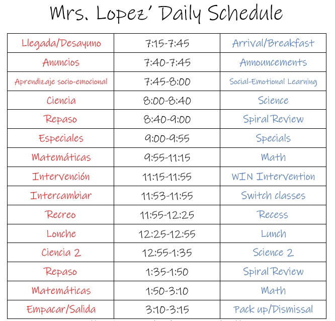 Daily Schedule