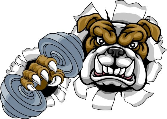 Bulldog Strength