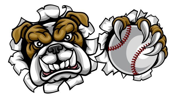 baseball bulldog
