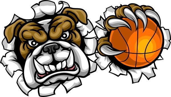 bulldog basketball