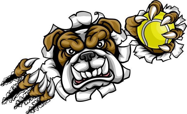 Bulldog Tennis