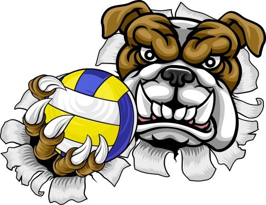 Bulldog Volleyball