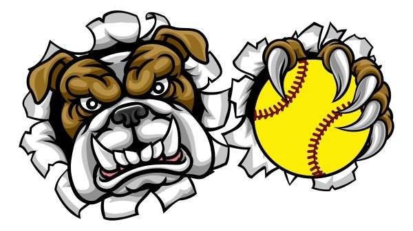 Bulldog softball