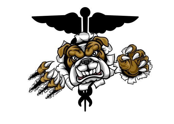 bulldog medical