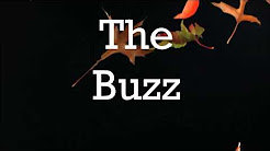  The Buzz YouTube Channel