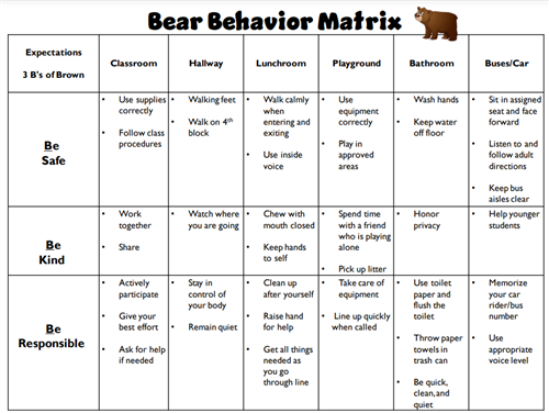 Bear Behavior Matrix