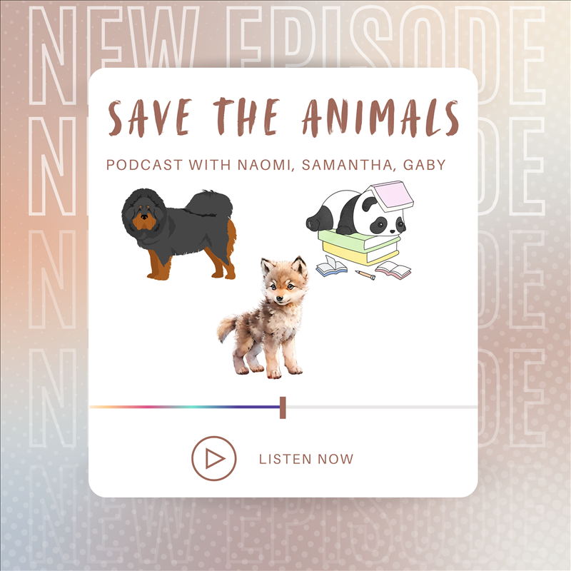 Save The Animals Episode 1 Graphic