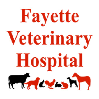 Fayette Vet Hospital