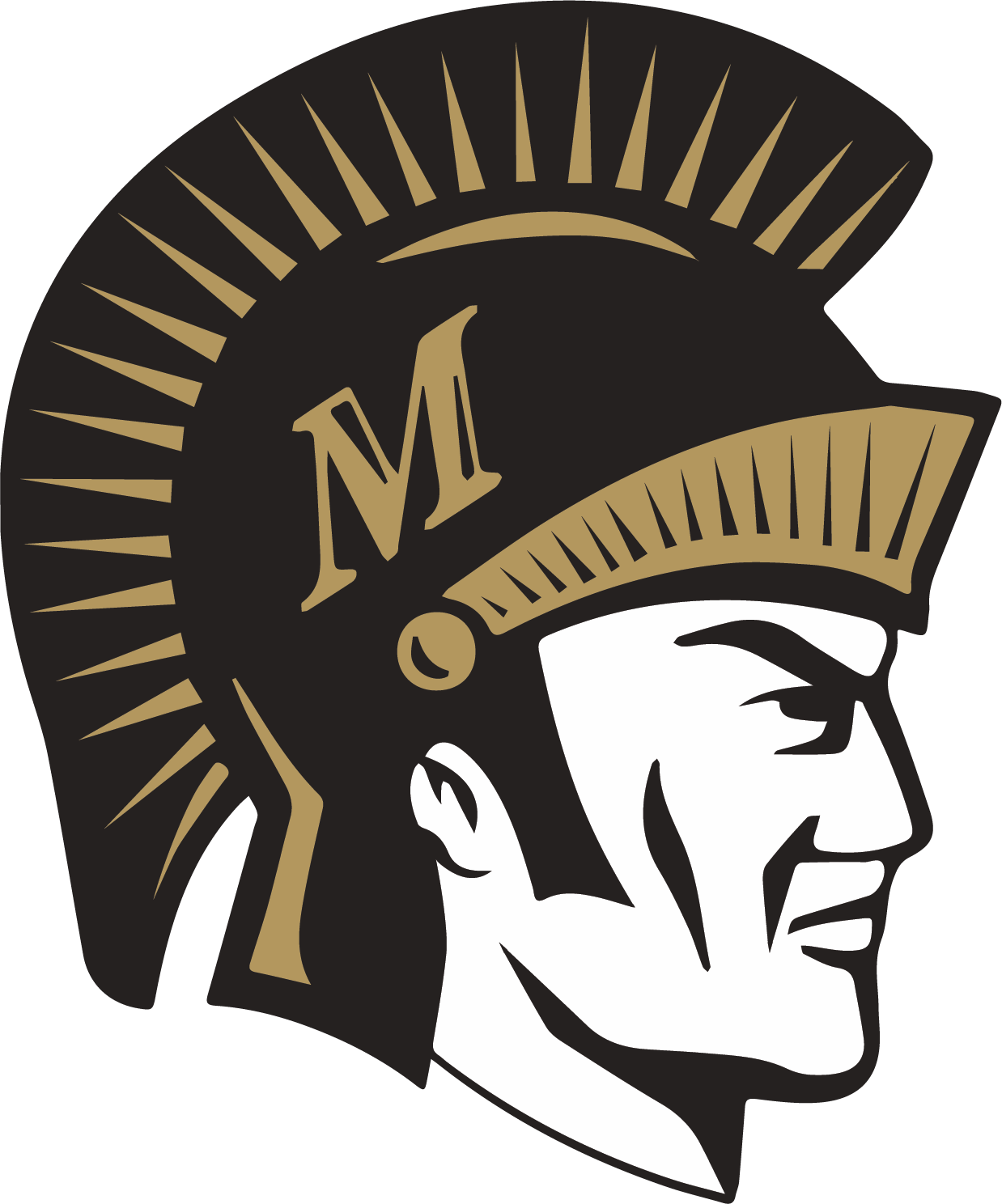 MCMHS Logo