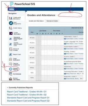 how to view reports image