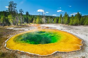 Yellowstone