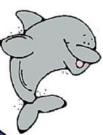 dolphin 