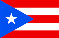 Puerto Rico Flag 