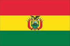 Bolivia flag 