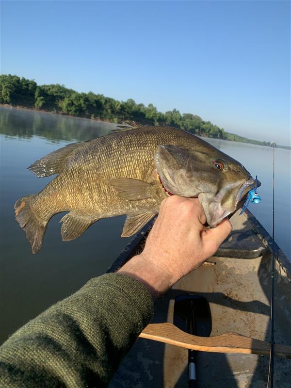 Memorial Day 2020 Smallmouth, Tennessee River on the Fly