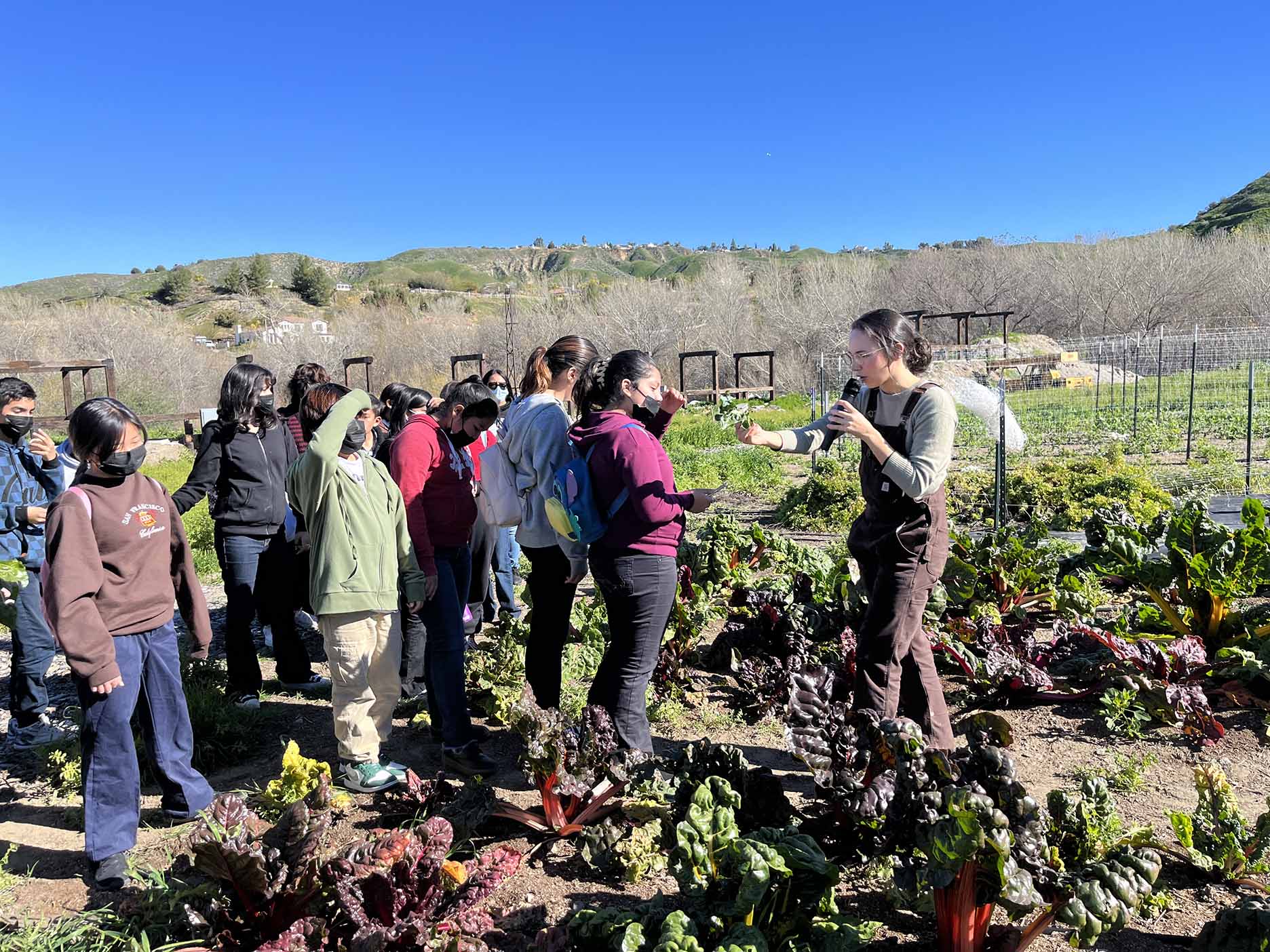 This is the image for the news article titled Maxson 6th Graders Visit Old Grove Farm