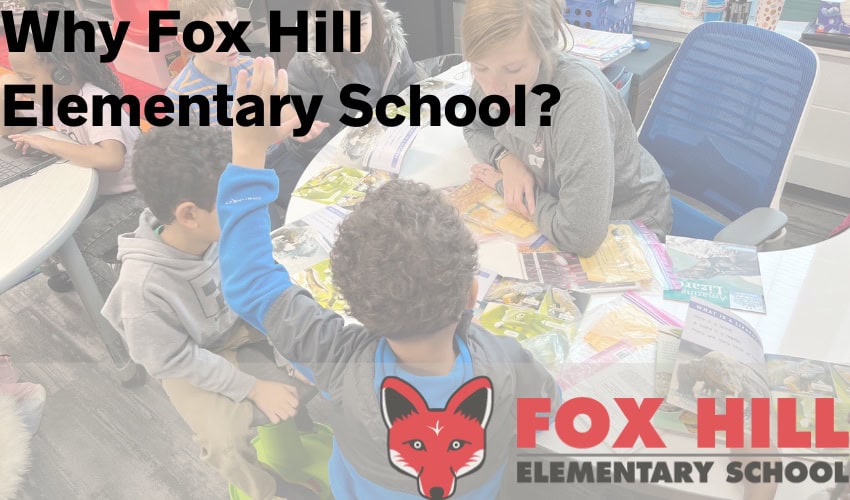 Untitled (850 x 500 px) - 1