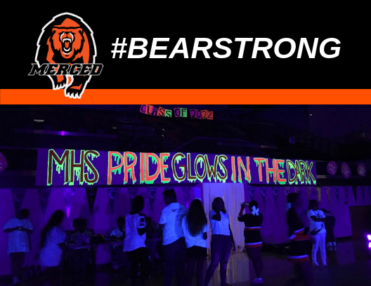 Bear Strong