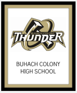 Image: BCHS Logo