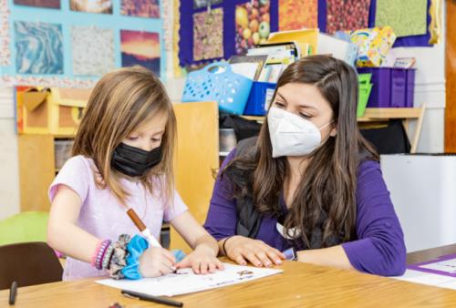 Student and Teacher Working