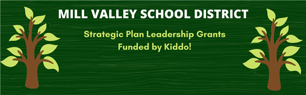 strategic plan leadership grants 