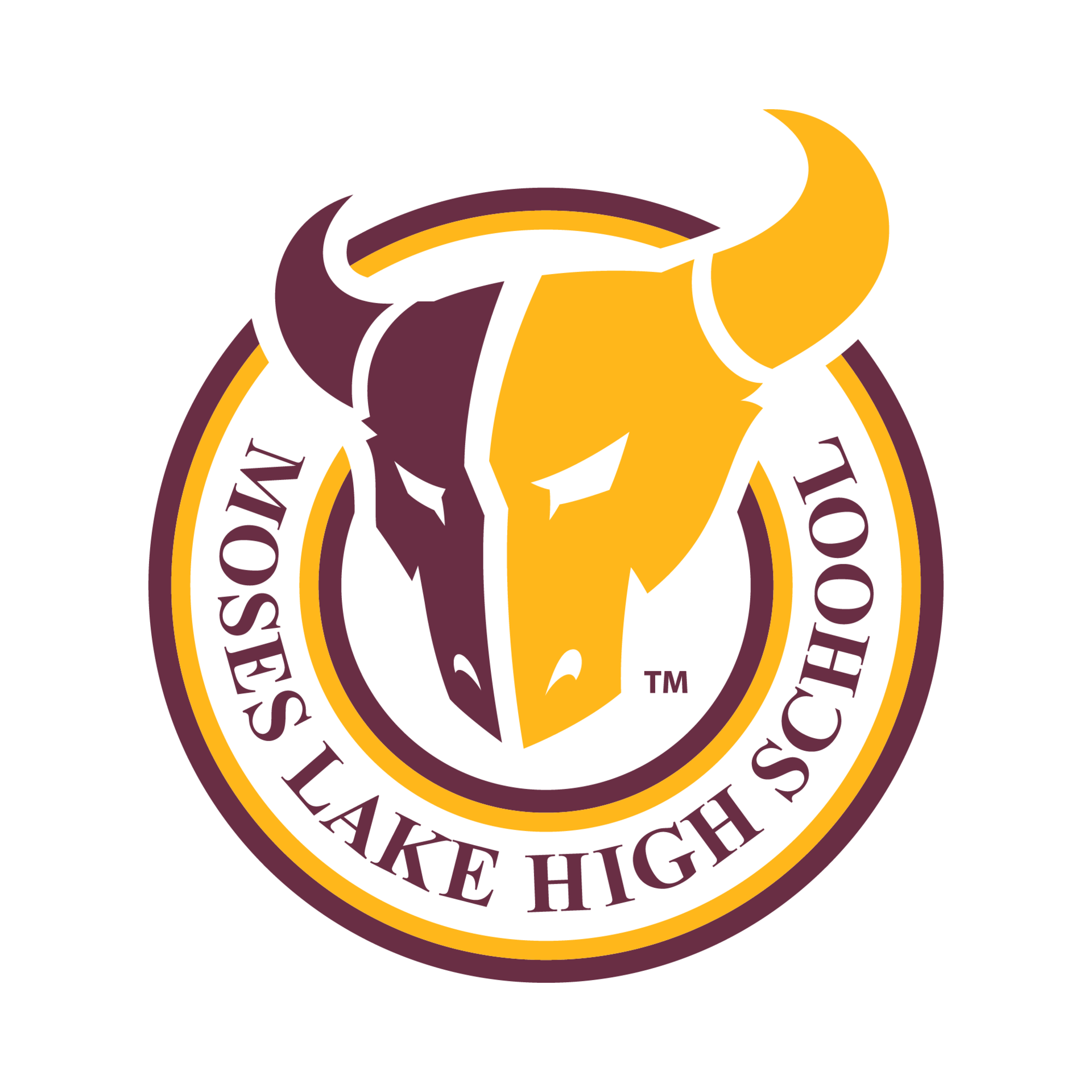 mlhs logo