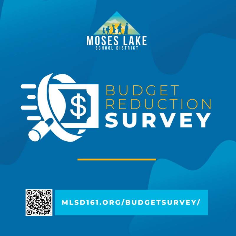 Budget Survey