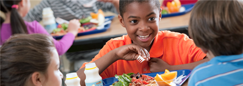 photo from https://www.fns.usda.gov/nslp/national-school-lunch-program-nslp 