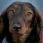 WillieLongbottom's Profile Photo